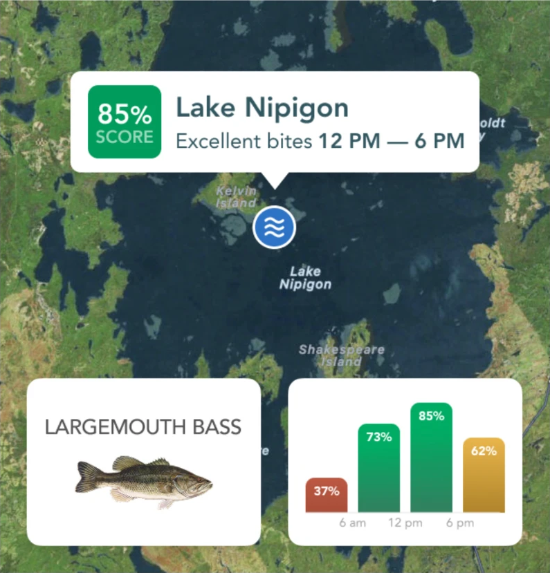 Lake Nipigon forecast: 85% score, excellent bites 12 PM to 6 PM