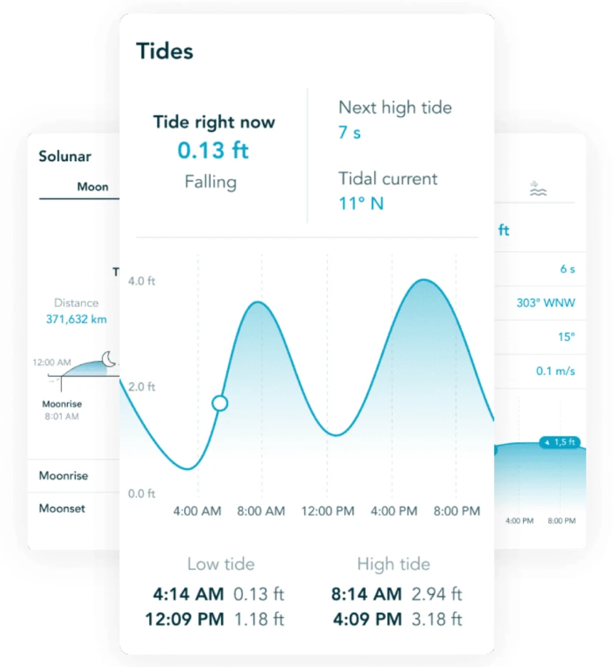 Tides card with chart, solunar and weather