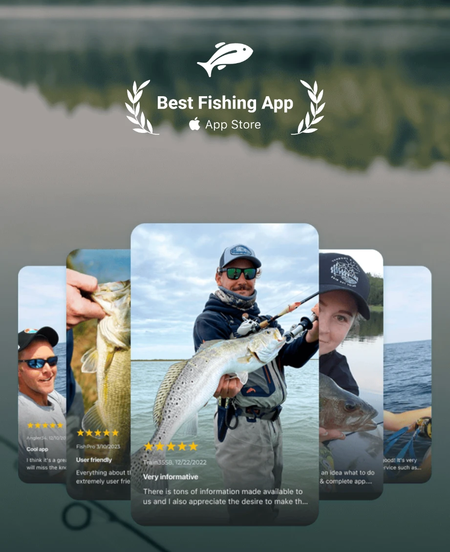 Best Fishing App, App Store — five App Store review cards